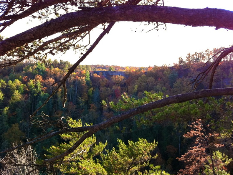 Natural Bridge State Park